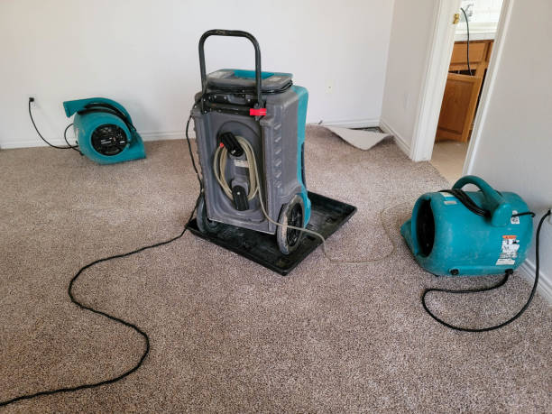 Best Professional water damage repair  in Willacoochee, GA