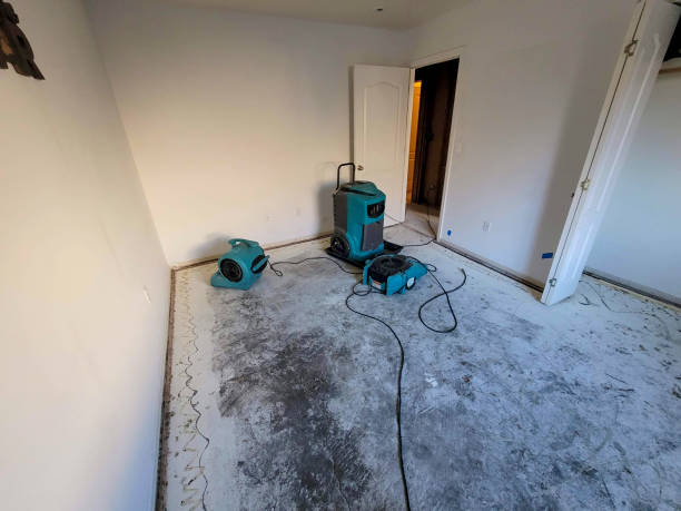 Best Sewage cleanup and water damage restoration  in Willacoochee, GA