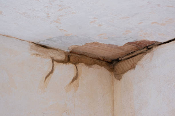 Best Flooded house restoration  in Willacoochee, GA