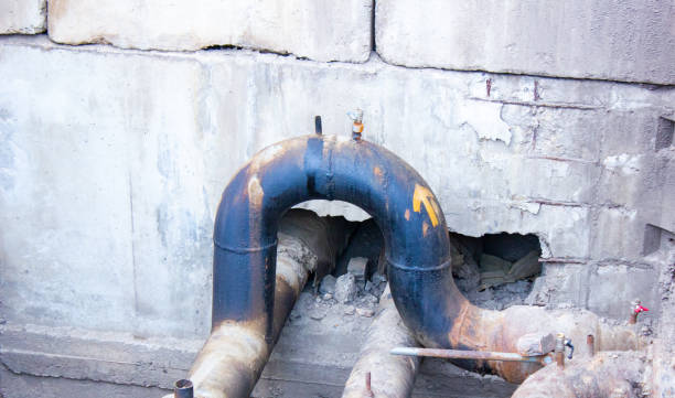 Best Flood restoration services  in Willacoochee, GA