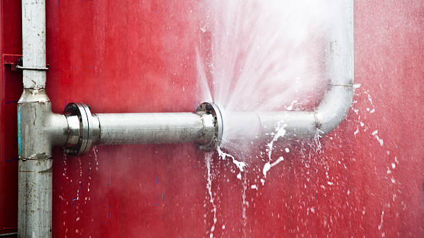 Trusted Willacoochee, GA Water damage restoration Experts
