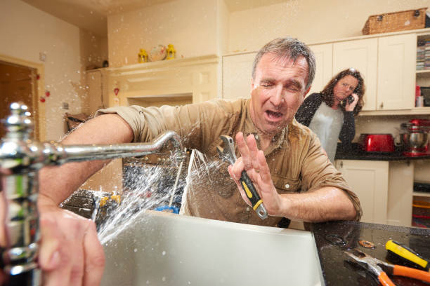 Best Flooded house restoration  in Willacoochee, GA